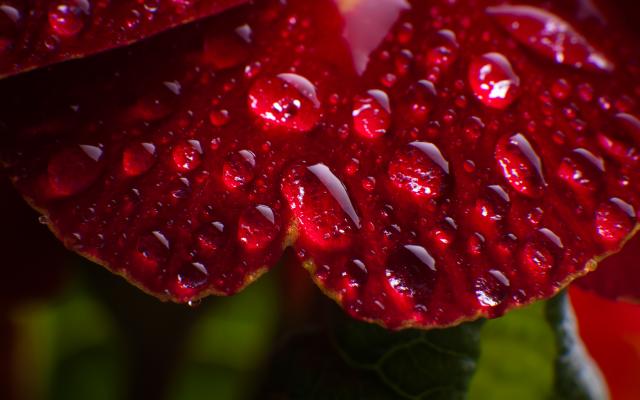 waterdrops4.jpg